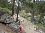 DSC02138.jpg