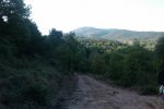 IMAG0051.jpg