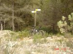 ds_Enguera 003.jpg