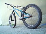 dsc00317vas.jpg