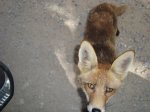 DSC00622.jpg