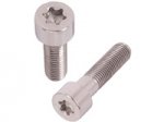 torx.jpg