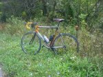 Brevet300 074_640x480.jpg