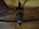 DSC05129.JPG