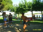 PIC_0023 (Medium).JPG