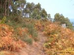 2006_0723_095514.JPG
