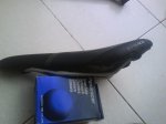 DSC02521.jpg