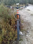 m_08102009367.jpg