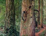 bike-color.jpg
