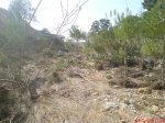DSC00512.JPG