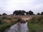 Foto0152.jpg