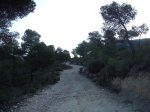 DSCF6631.JPG