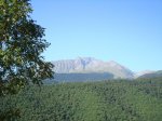 DSC00503.jpg