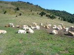 DSC00516.jpg