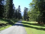 DSC00531.jpg