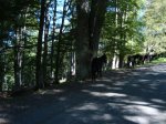 DSC00544.jpg