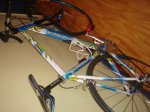 DSC01825.JPG