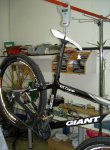giantpes4.jpg