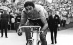 eddy-merckx.jpg