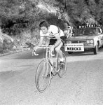 histoire_merckx_01.jpg