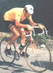 merckx2.jpg
