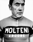 merckx.jpg