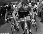 preview-merckx.jpg