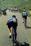 fiat_merckx_back.jpg