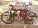 PICT0115.jpg