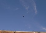 DSCN0271.jpg