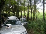 DSCF2176.jpg