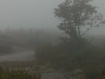 geodesico.jpg