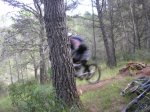 salida-10-10-09 071 [Desktop Resolution].jpg