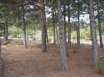 MTB TelÃ©grafo AlcoSanse 10Oct09 007 [1024x768].JPG