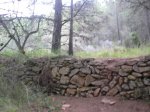 salida-10-10-09 074 [Desktop Resolution].jpg