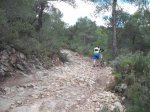 DSCF6737.JPG