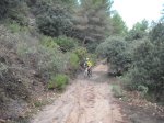 DSCF6749.JPG