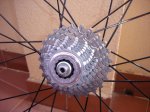 DSC07148.jpg