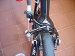 DSC07153.jpg
