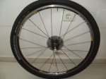 DSC02035.JPG