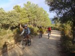 DSC02649.jpg