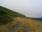 S5020608.jpg