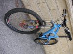 ibis 2.jpg