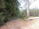 SNC00338.jpg