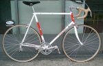 merckx replica.jpg