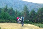 DSCN0333.JPG