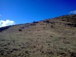 Imagen006.jpg