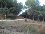 IMG_7668.JPG