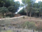 IMG_7671.JPG