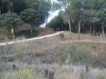 IMG_7674.JPG
